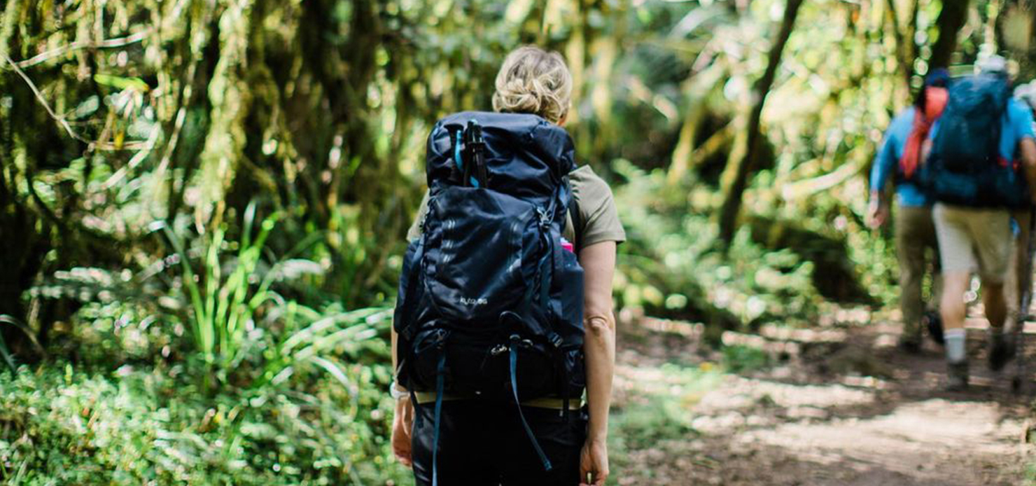 6 Days Machame Route